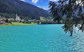Casa Di Montagna Bnb - Leo
